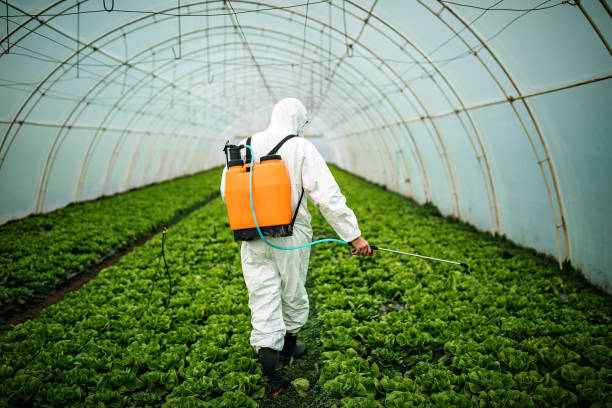 Reliable Ovilla, TX Pest Control Solutions
