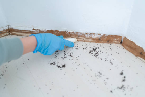 Best Wildlife Control Services  in Ovilla, TX